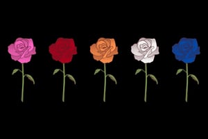 Test de personalidad: Si tuvieras que regalarte una rosa, ¿de qué color sería?