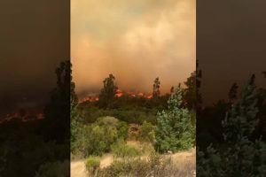 VIDEO | Así está la Ruta 68 producto del incendio forestal que cortó el tráfico