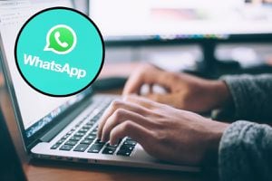 WhatsApp: De esta manera puedes crear sticker desde la versión Web