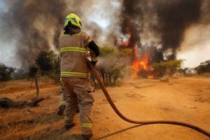 Incendio Forestal en Valparaíso: Tome estas precauciones ante el humo