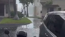 VIDEO | Increíble: Enormes olas en Hawaii superaron casas de dos pisos