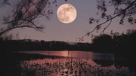Primera Luna Llena del año: Conoce desde qué hora podrás ver la "Luna de Lobo"