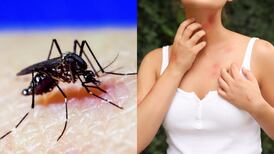 Dengue en Chile: Estas son las recomendaciones del Minsal para evitar contagios
