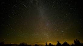 Lluvia de meteoritos iluminará el cielo en febrero ¿Cuándo y a qué hora se podrá observar?