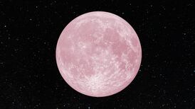 Luna Fresa: ¿Cuándo se presentará este evento astronómico y a qué hora se verá en Chile?