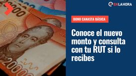 Bono Canasta Básica: Consulta con tu RUT si recibirás el nuevo monto de noviembre y conoce hasta cuándo se entregará el beneficio