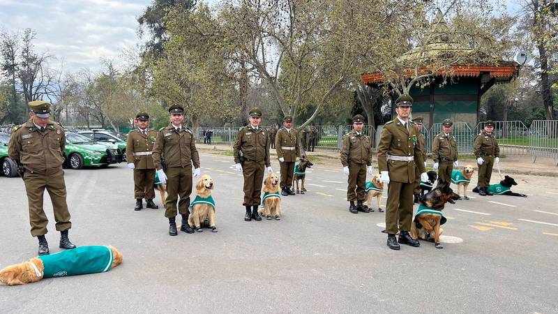 Perros de Carabineros pasan a retiro en la Parada Militar.