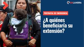 Extensión Postnatal de Emergencia: ¿A quiénes beneficiaria el proyecto y hasta cuándo se prolongaría?