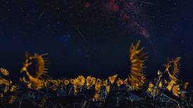 Lluvia de estrellas Delta Acuáridas: ¿Cuándo ver las estrellas fugaces cruzando por Chile?