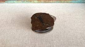 Colección de Meteoritos: Piedra extraterrestre de 4.500 millones de años se vende a $650.000
