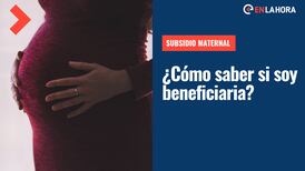 Subsidio Maternal: ¿Cómo saber si soy beneficiaria y qué monto puedo recibir?