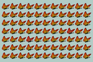 Test Visual: ¿Serás capaz de encontrar las dos mariposas con alas completamente naranjas?