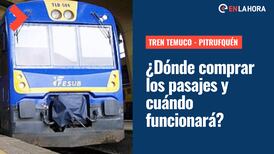 Tren Temuco - Pitrufquén: ¿Dónde comprar los pasajes y cuándo son los viajes?