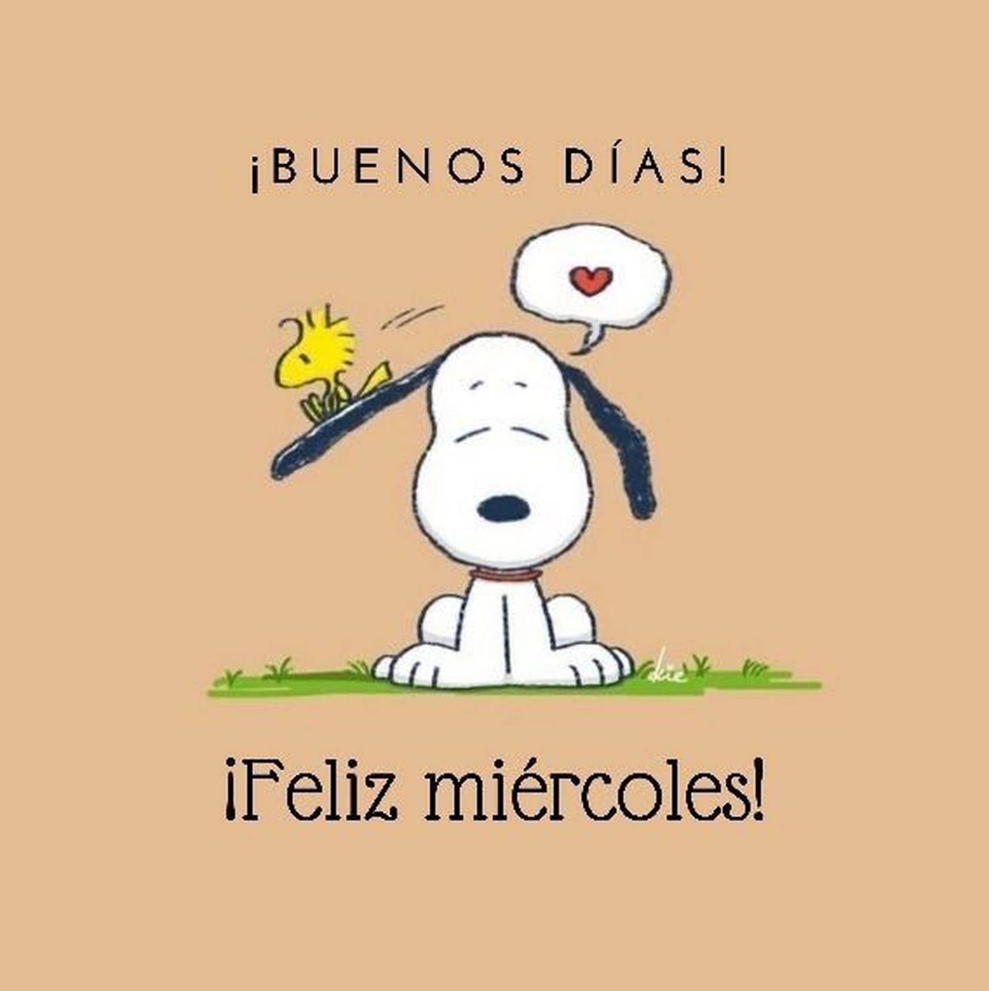 Snoopy con el mensaje "Buenos días, feliz miércoles".