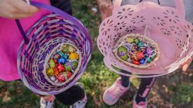 Ven a buscar huevitos de Pascua junto al Conejo en este entretenido panorama en Providencia