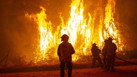Hectáreas quemadas por incendios forestales en el país equivalen a 63 mil canchas de fútbol