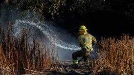 VIDEO | Incendio forestal en Linares: Onemi declaró Alerta Roja por siniestro que amenaza viviendas