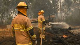 Hombre imputado por causar incendio forestal en Arauco quedó en libertad