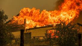 Incendios forestales: Revisa en tiempo real dónde y cuántos focos activos hay en Chile