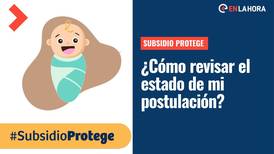 Subsidio Protege: Consulta el estado de tu postulación y el calendario de pagos