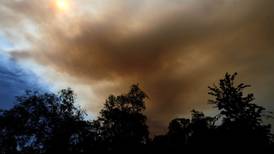 VIDEO | Incendio forestal en Los Sauces: Alerta Roja por siniestro con alto peligro de propagación