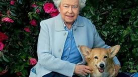 Con fotos antiguas de la reina Isabel: El Palacio de Buckingham celebró el "Día Internacional del Perro"