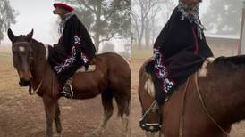 VIDEO | ¡Está muy camperito! Perrito se vuelve viral tras montar a caballo con particular vestimenta