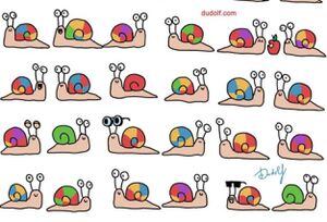 Test visual: ¿Eres de los pocos que puede encontrar al caracol único?
