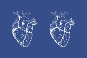 Test Visual: Solo los más inteligentes encuentran las 4 diferencias entre los corazones, ¿tú podrás?