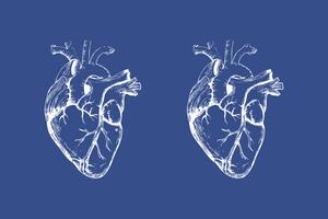 Test Visual: Solo los más inteligentes encuentran las 4 diferencias entre los corazones, ¿tú podrás?