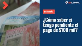 Bono Leña: Revisa con tu RUT si tienes pendiente el pago de $100 mil y conoce cómo cobrarlo