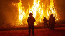 Incendios Forestales: Hombre y perrito se protegieron del fuego en un horno de barro