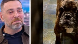 “Tengo un vacío muy profundo”: José Antonio Neme rompe en llanto al despedir a su fallecido perro  