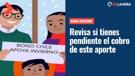 Bono Chile Apoya de Invierno: Revisa con tu RUT si tienes pendiente el cobro de este beneficio