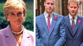 El biógrafo Princesa Diana sostiene que estaría "muy molesta" al ver la ruptura del príncipe William y el príncipe Harry