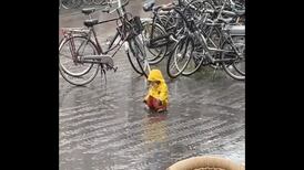 VIDEO | ¡Que ternura! Captan a un niño pequeño disfrutando de la lluvia sin importarle nada