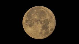 ¿Cuándo será la próxima Luna Llena? Conoce el calendario lunar y astronómico del 2023