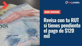 Bono Invierno: Revisa con tu RUT en el sitio de ChileAtiende si tienes pendiente el pago de $120 mil