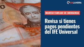 Ingreso Familiar de Emergencia: Revisa con tu RUT si tienes pagos sin cobrar el IFE Universal