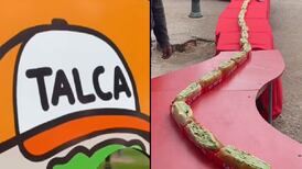 Los memes que dejó el polémico récord del “completo más largo del mundo” en Talca