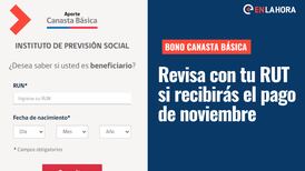 Bono Canasta Básica: ¿Cómo saber con mi RUT si lo recibo y cuál es la fecha de pago en noviembre?