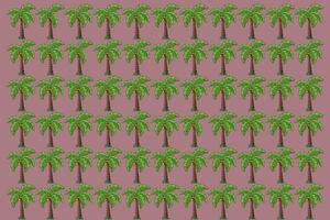 Test visual: Encuentra las palmeras con 4 hojas en solo 5 segundos