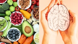 Los 6 alimentos útiles para la salud del cerebro según psiquiatra de la Universidad de Harvard