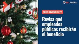 Bono Navidad 2022: ¿Qué empleados públicos recibirán el aporte económico?