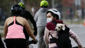 Ley de Convivencia Vial: anuncian nuevo reglamento para ciclistas y traslado de mascotas