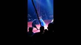 VIDEO I Imágenes sensibles: Oso atacó a domadora en medio de función de circo