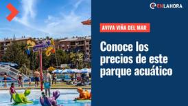 Parque Acuático y Canino Aviva Viña del Mar: ¿Cuáles son sus horarios y precios?