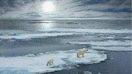 Las altas temperaturas que se registran en el Ártico siberiano: hasta 38ºC