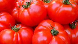 Providencia celebrará el Día del Tomate: ¿Dónde será el evento gratuito y cómo llegar?