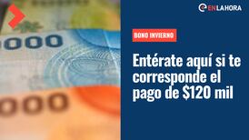 Bono 120 mil pesos: Revisa con tu RUT si aún no has cobrado el Bono Chile Apoya de Invierno